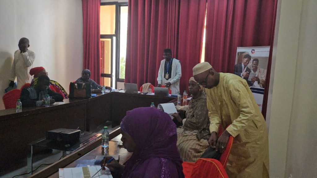 Session de formation des cadres du SSN à Bamako